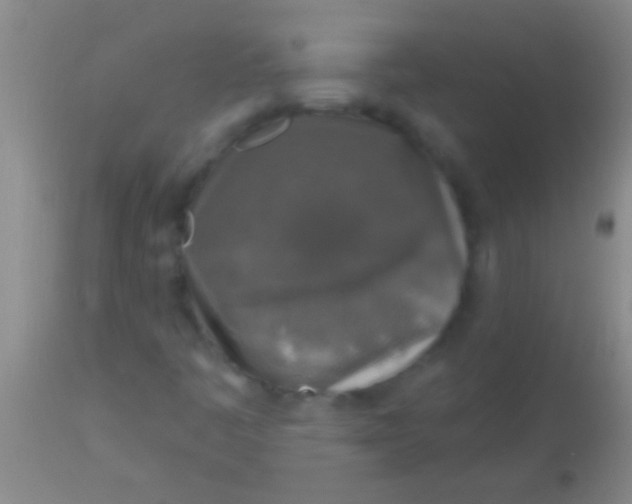 X0000113961445200910161952