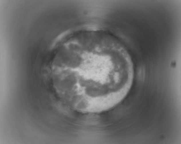 X0000113961446200910161952