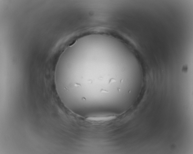 X0000113961447200910161952