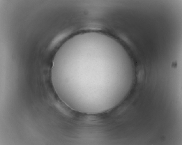 X0000113961448200910161952