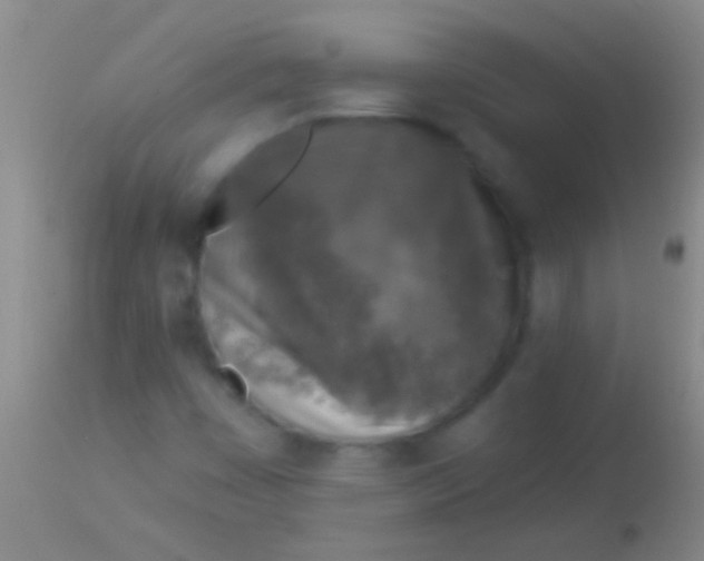 X0000113961449200910161952