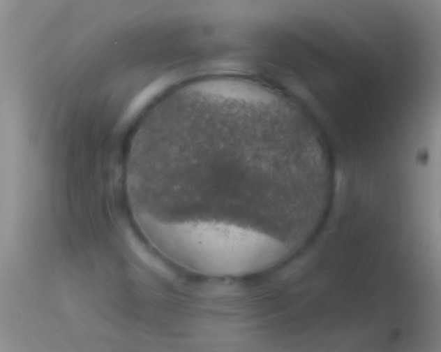 X0000113961450200910161952