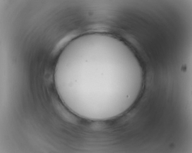 X0000113961451200910161952