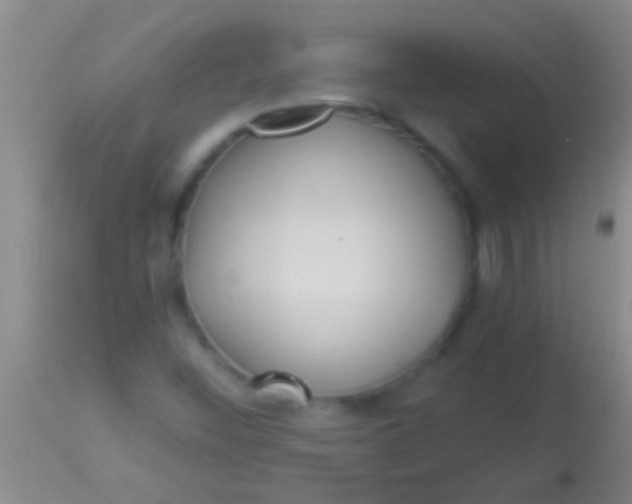 X0000113961452200910161952