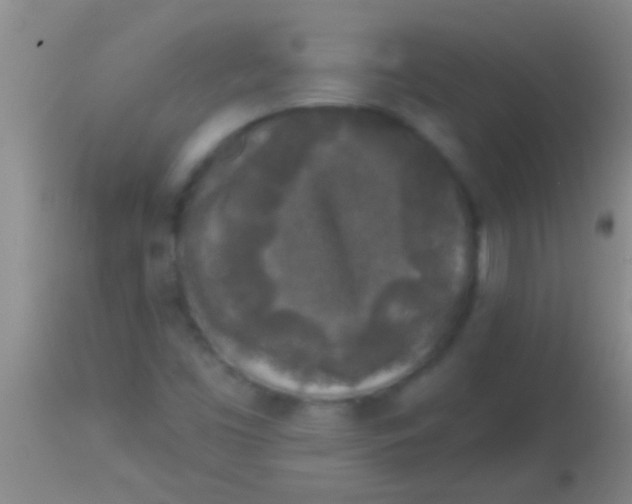 X0000113961453200910161952