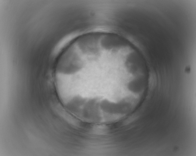 X0000113961454200910161952