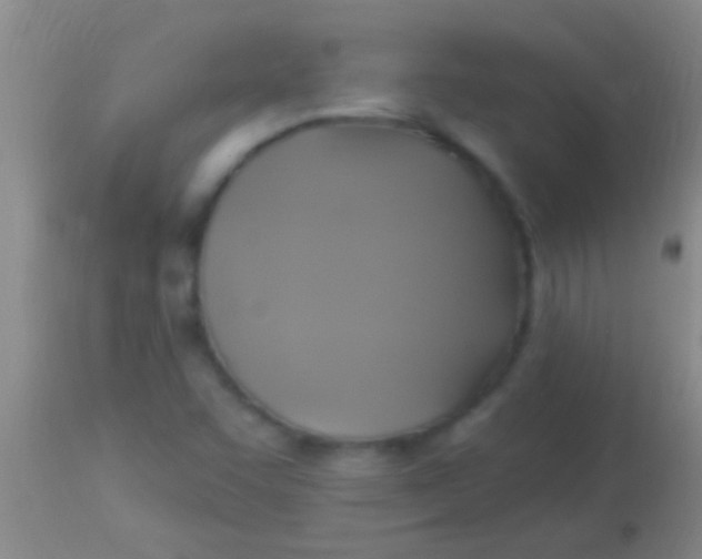 X0000113961455200910161952