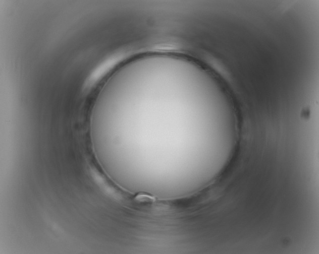 X0000113961456200910161952