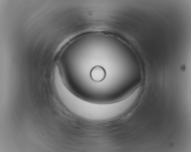 X0000113961457200910161952