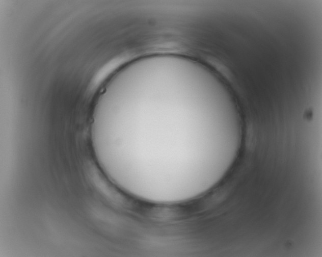 X0000113961458200910161952