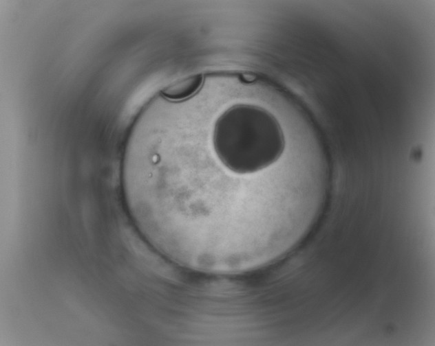 X0000113961459200910161952