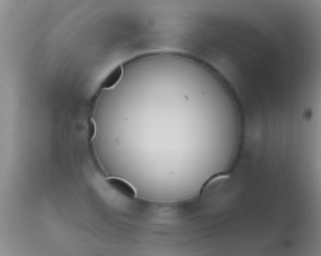 X0000113961460200910161952