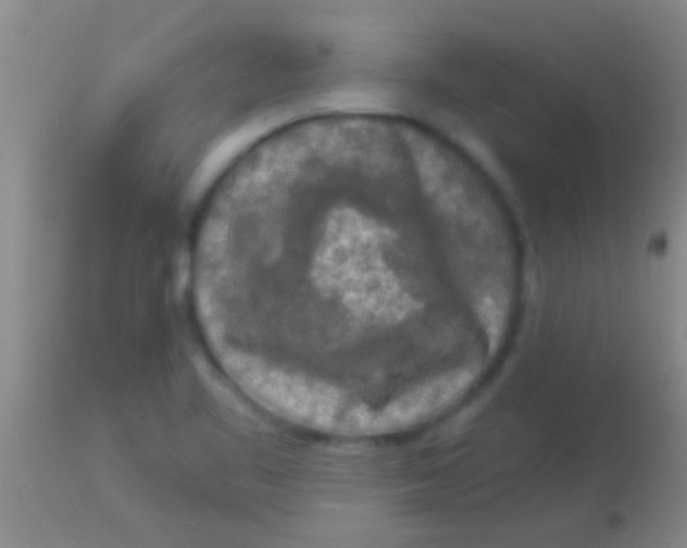 X0000113961461200910161952