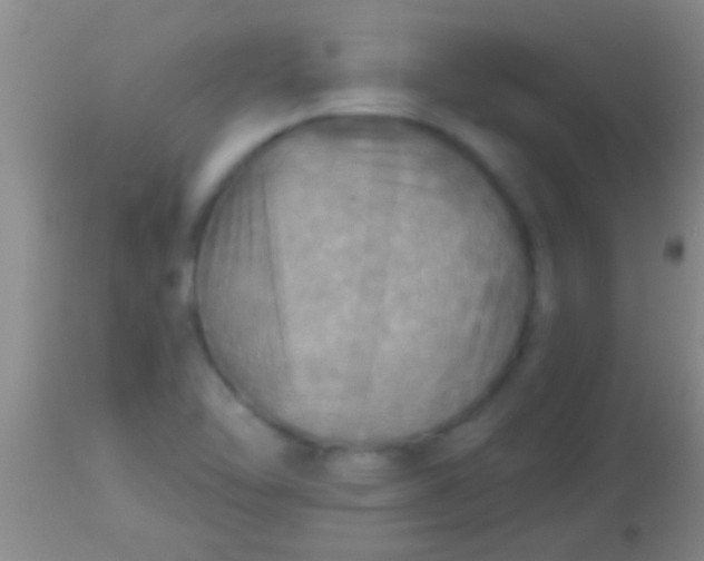 X0000113961462200910161952