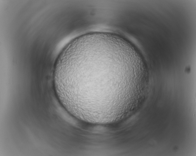 X0000113961463200910161952