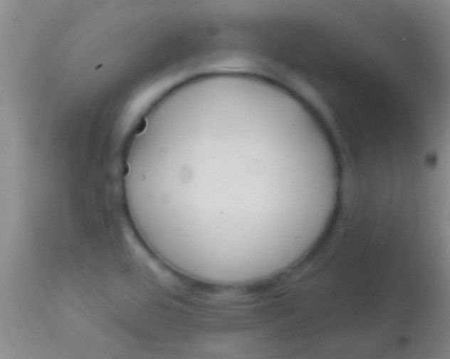 X0000113961464200910161952