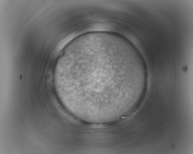 X0000113961465200910161952