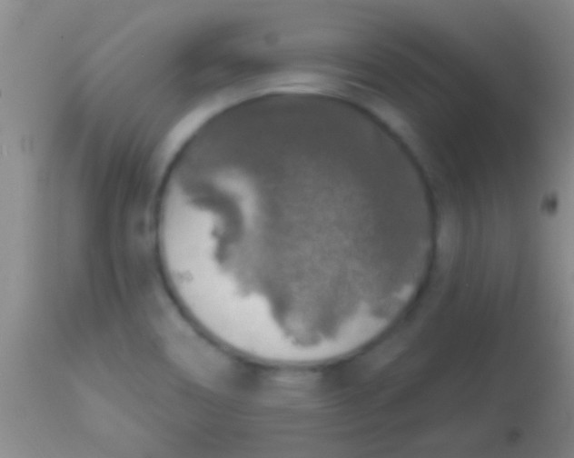 X0000113961466200910161952