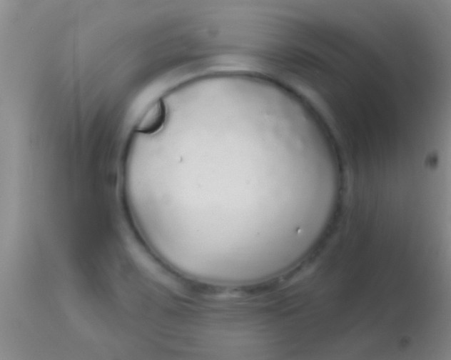 X0000113961467200910161952