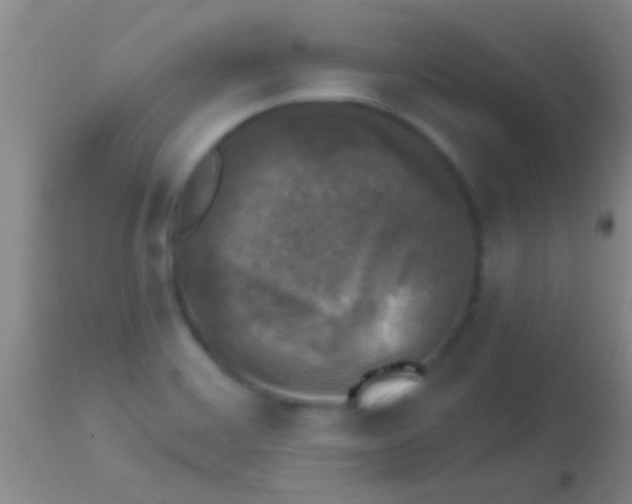 X0000113961468200910161952