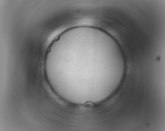 X0000113961469200910161952