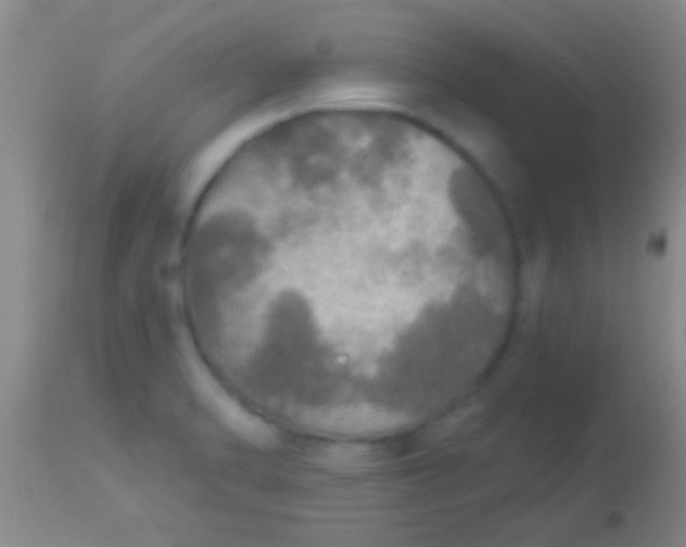 X0000113961470200910161952