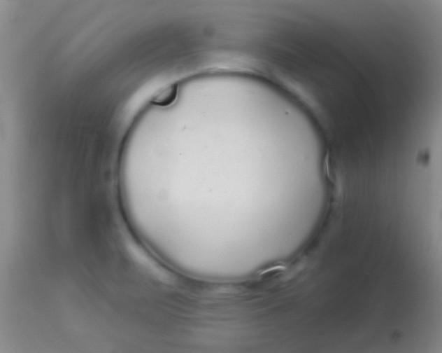 X0000113961471200910161952