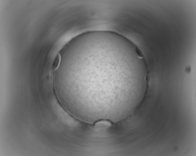 X0000113961472200910161952