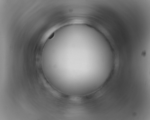 X0000113961473200910161952