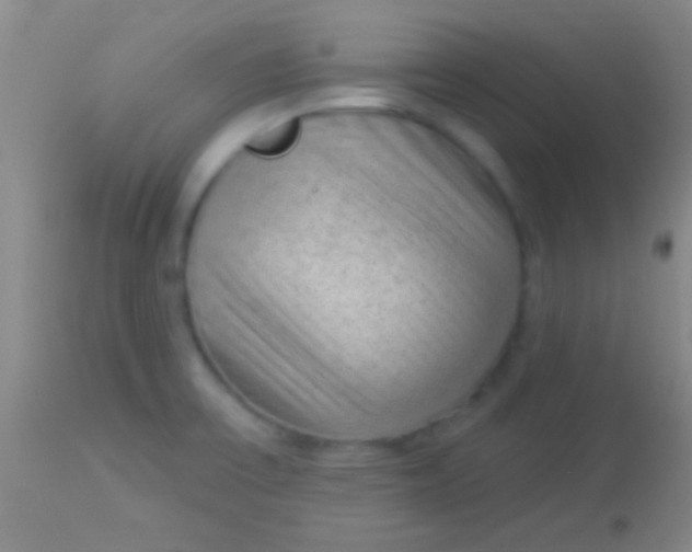 X0000113961475200910161952