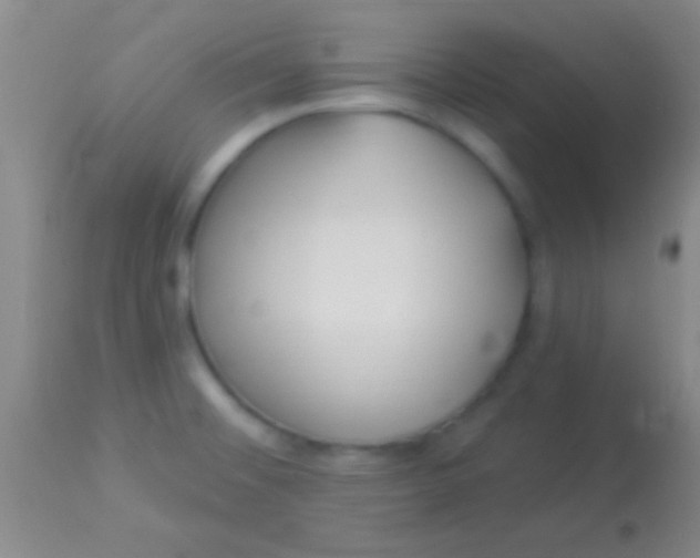 X0000113961476200910161952