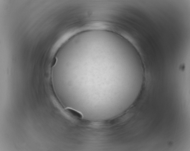 X0000113961477200910161952