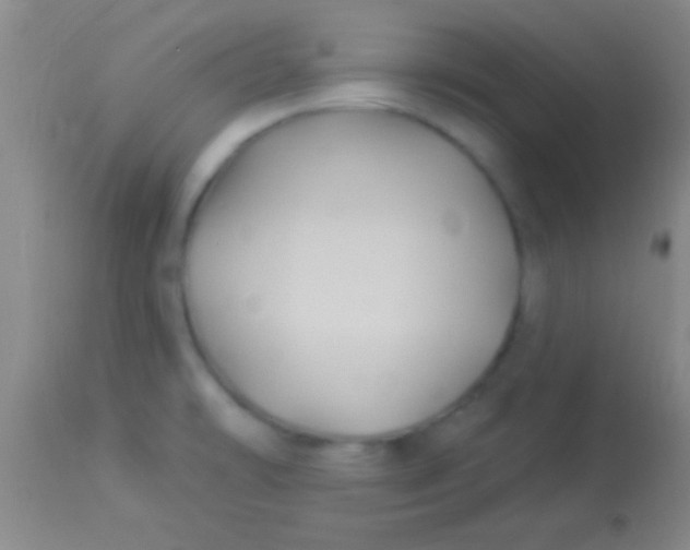 X0000113961478200910161952