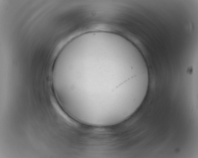 X0000113961479200910161952