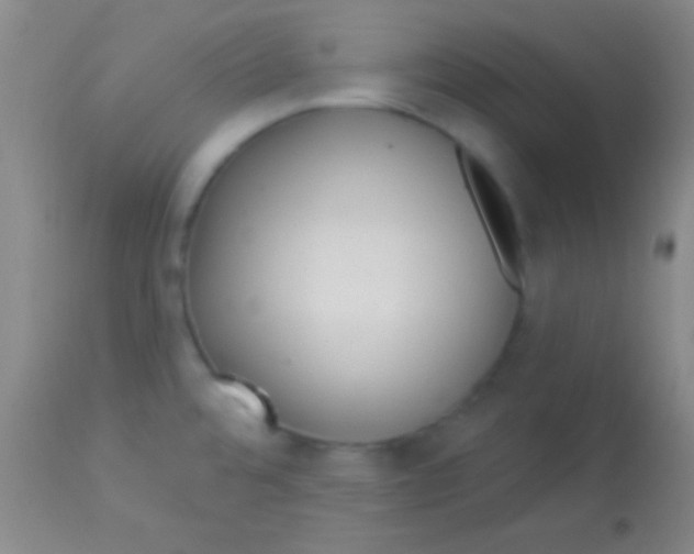 X0000113961480200910161952