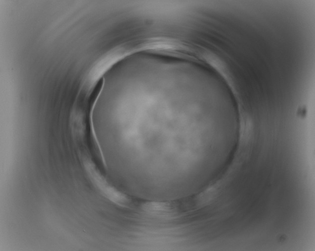 X0000113961481200910161952