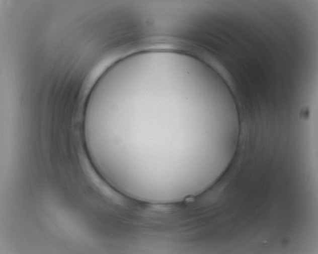 X0000113961483200910161952