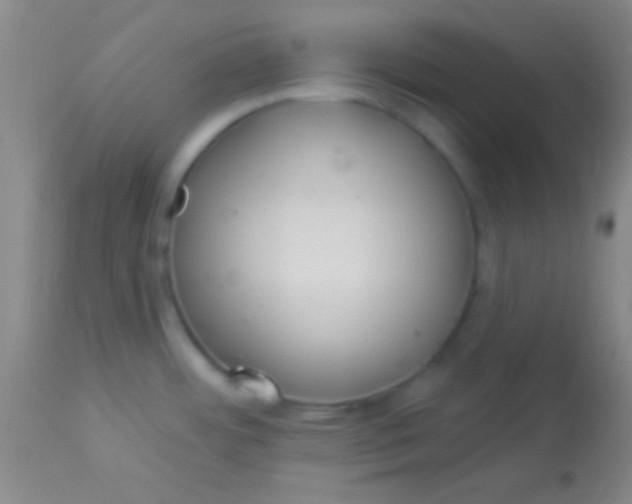 X0000113961484200910161952