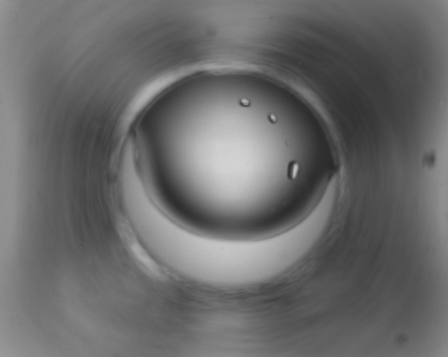 X0000113961485200910161951