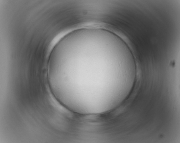 X0000113961486200910161951