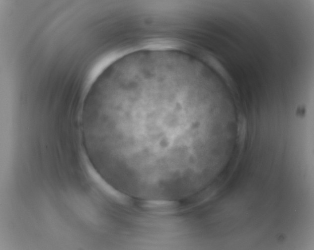 X0000113961487200910161951