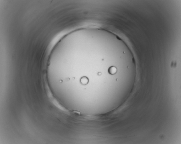 X0000113961488200910161951