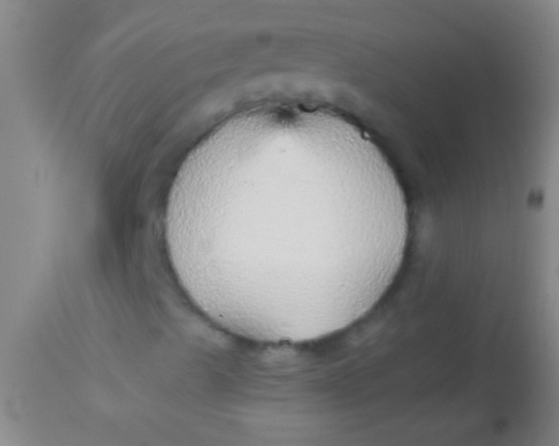 X0000113961489200910161951