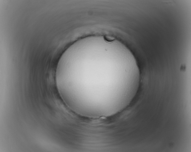 X0000113961490200910161951