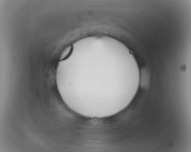 X0000113961491200910161951