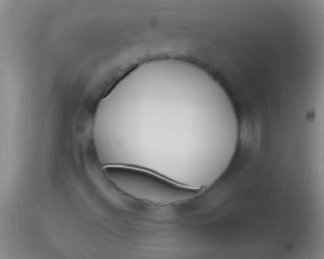 X0000113961492200910161951