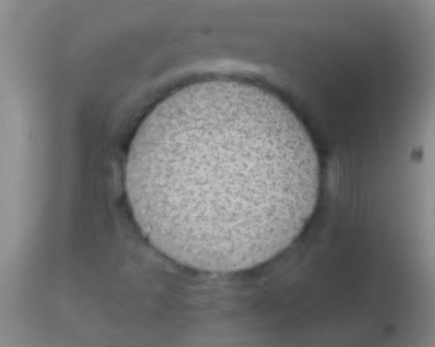 X0000113961493200910161951