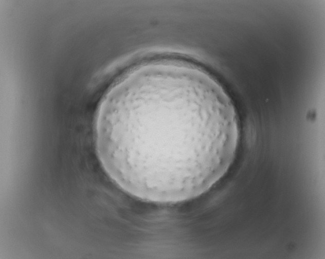 X0000113961494200910161951