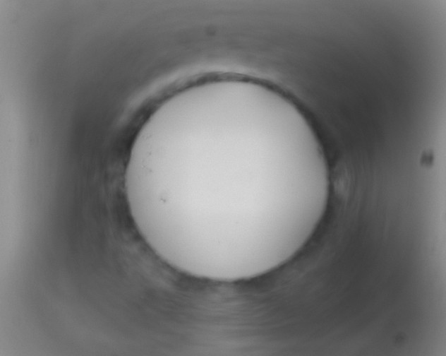 X0000113961495200910161951