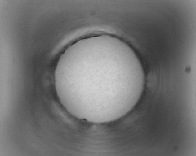 X0000113961496200910161951